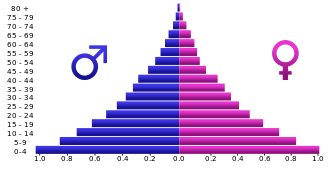 piramida penduduk
